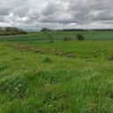 Forêt de Thisted