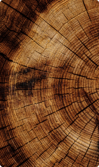 Why we cut down trees
